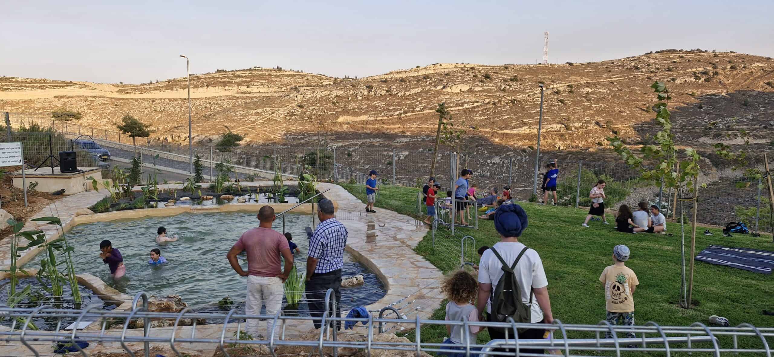 Children swimming in a small pond at Efrat Development Foundation park, surrounded by greenery and scenic hills.